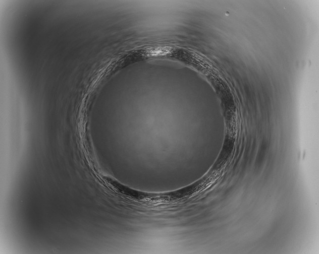 X0000094341441200711021442