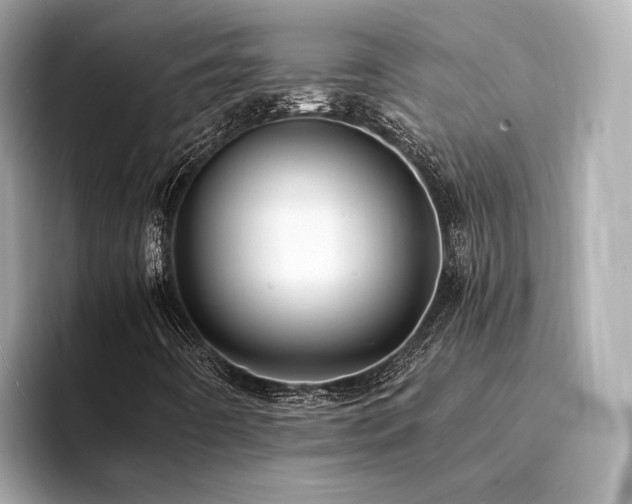 X0000094341442200711021442