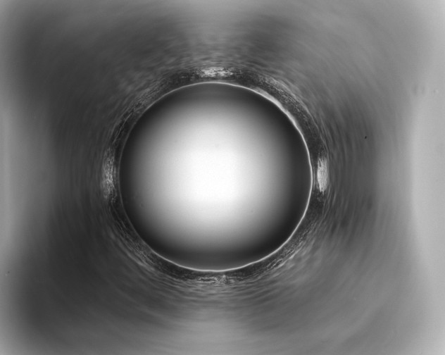 X0000094341444200711021442