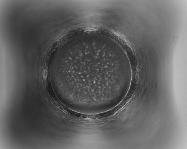X0000094341445200711021442
