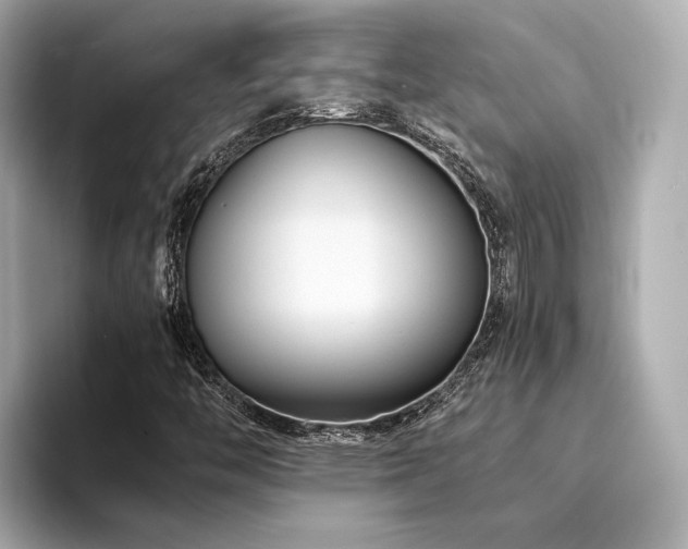 X0000094341446200711021442