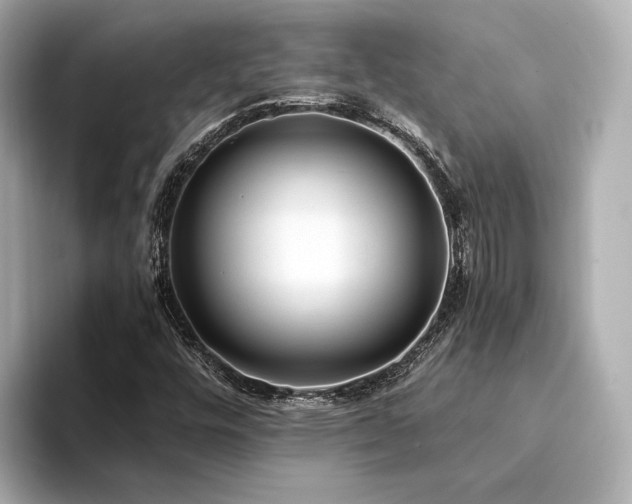 X0000094341448200711021442