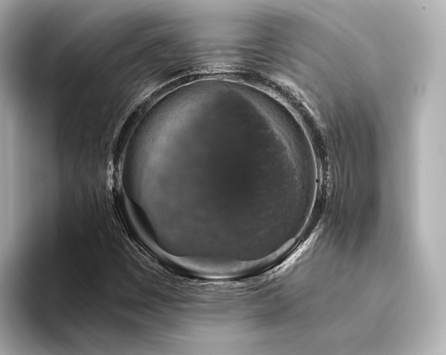 X0000094341449200711021442