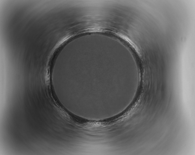 X0000094341450200711021442