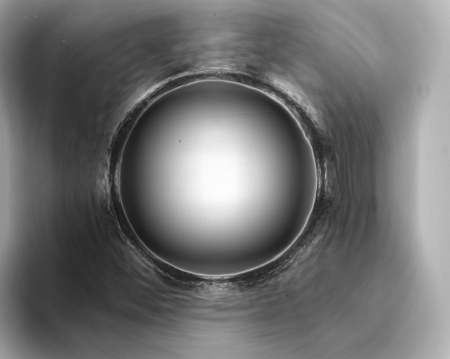X0000094341452200711021442