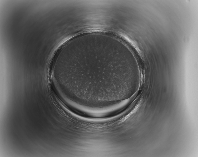 X0000094341453200711021442