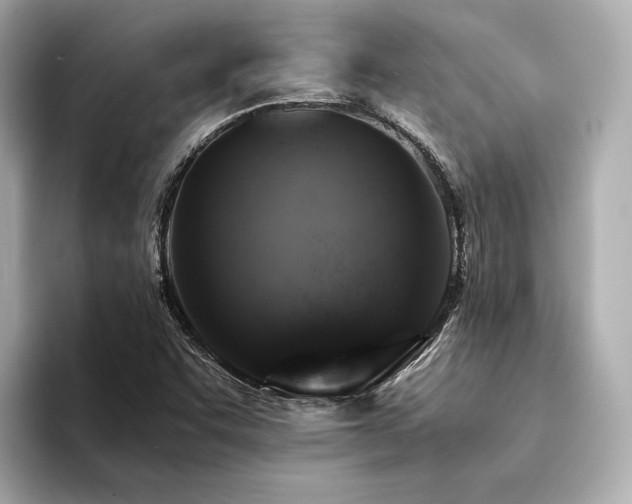 X0000094341455200711021442