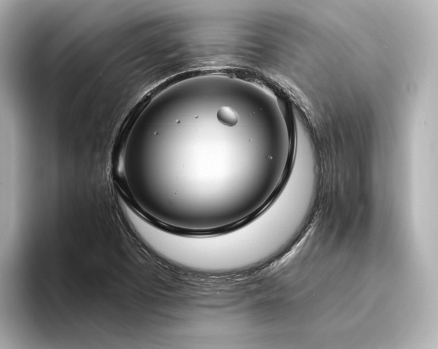 X0000094341457200711021442