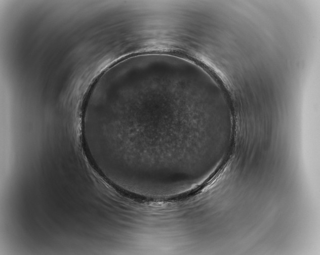 X0000094341459200711021442