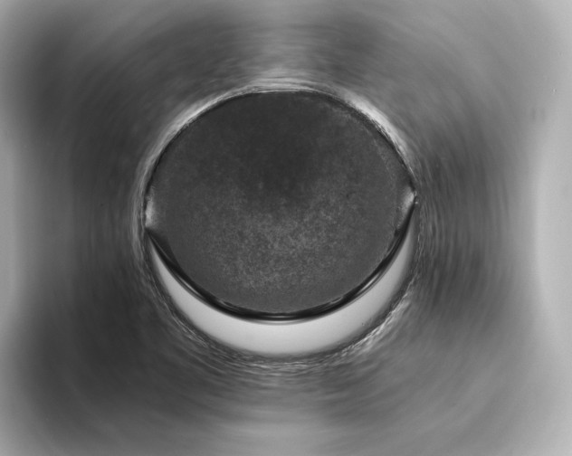 X0000094341461200711021442