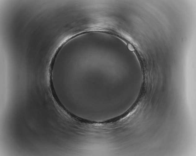 X0000094341463200711021442