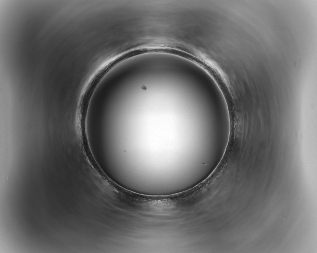 X0000094341464200711021442