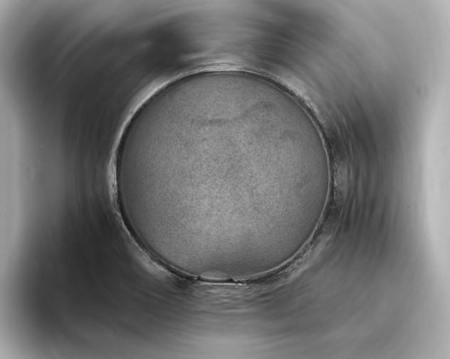 X0000094341466200711021442