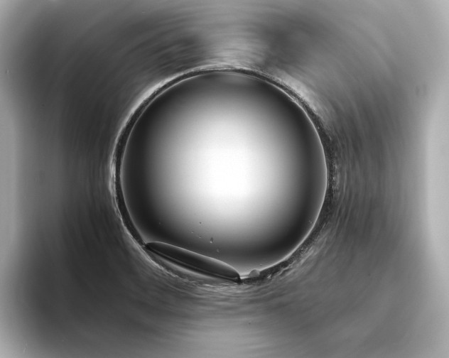 X0000094341468200711021442