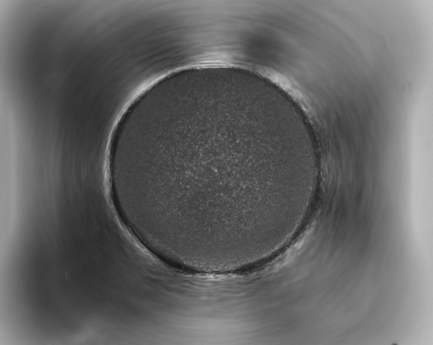 X0000094341469200711021442