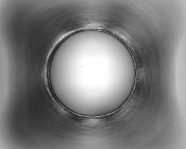 X0000094341470200711021442