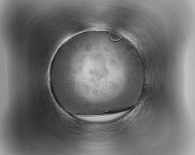 X0000094341471200711021442