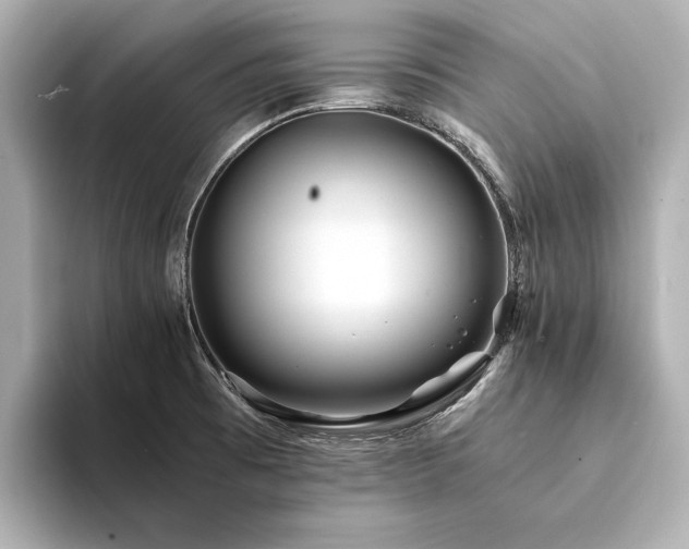 X0000094341473200711021442