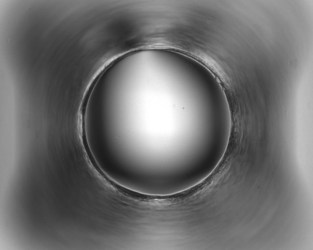 X0000094341476200711021442
