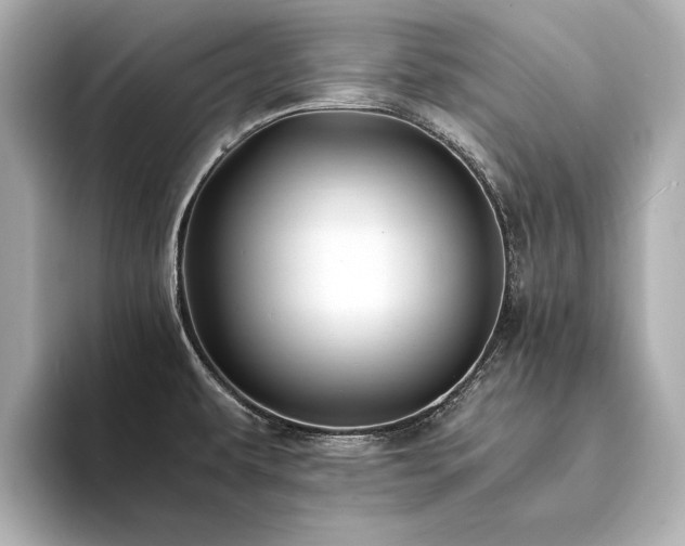 X0000094341479200711021442