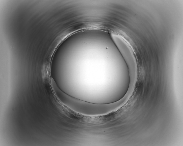 X0000094341481200711021442