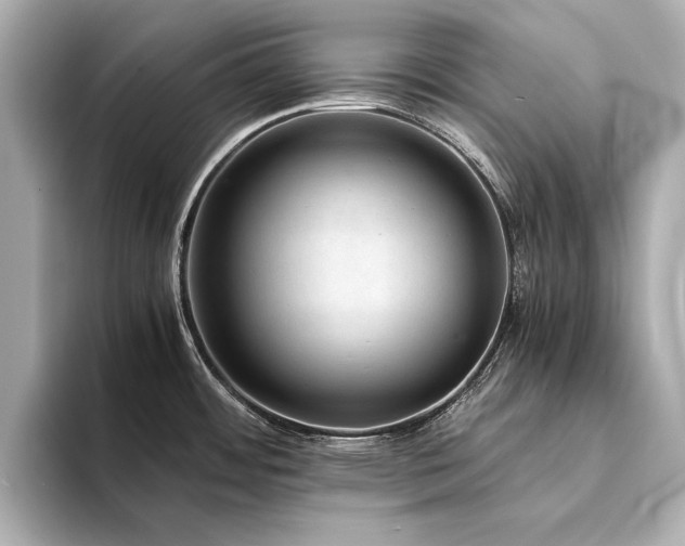 X0000094341484200711021442