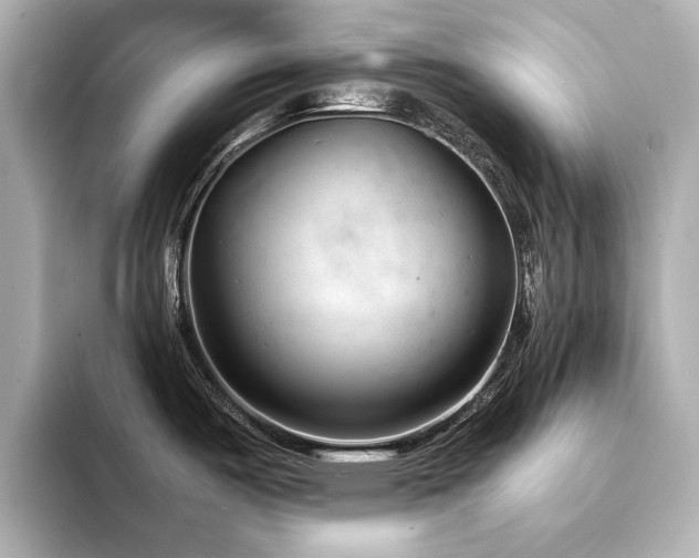 X0000094341487200711021442
