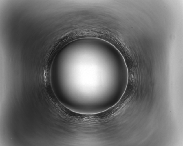 X0000094341490200711021441