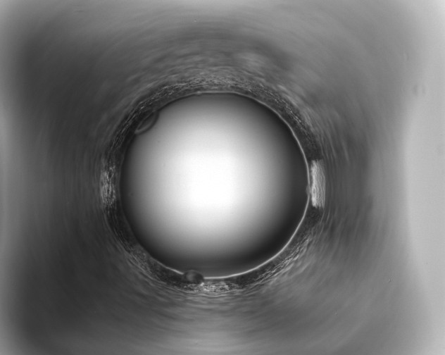 X0000094341491200711021441