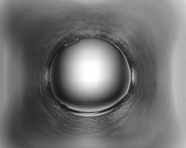 X0000094341492200711021441