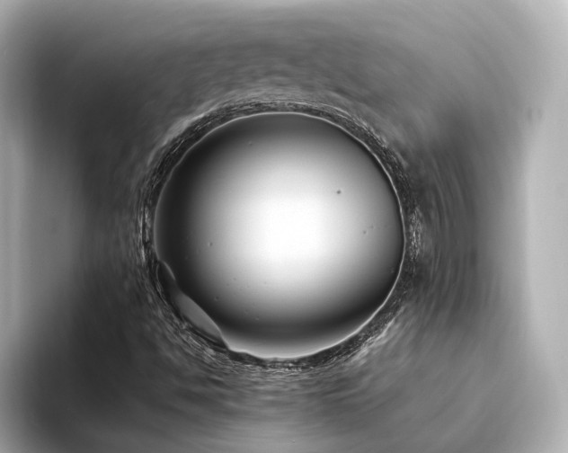 X0000094341494200711021441
