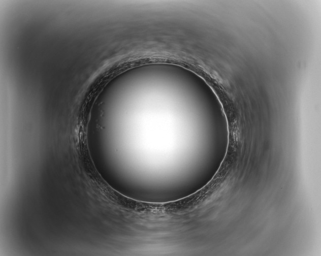 X0000094341495200711021441