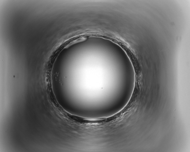 X0000094341496200711021441