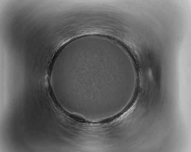 X0000094341497200711021441