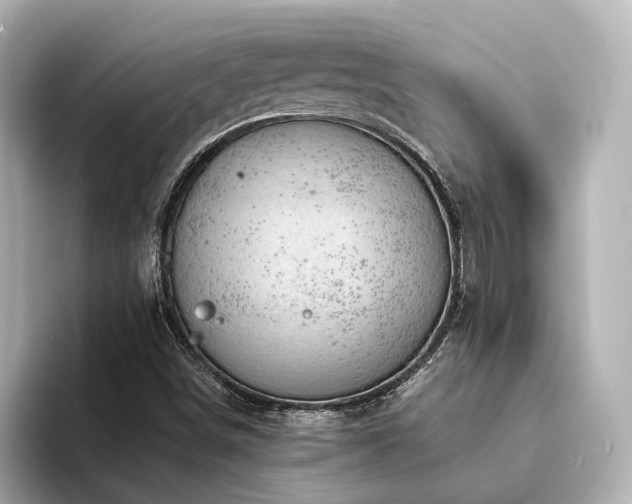 X0000094341498200711021441