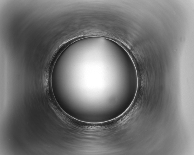 X0000094341499200711021441