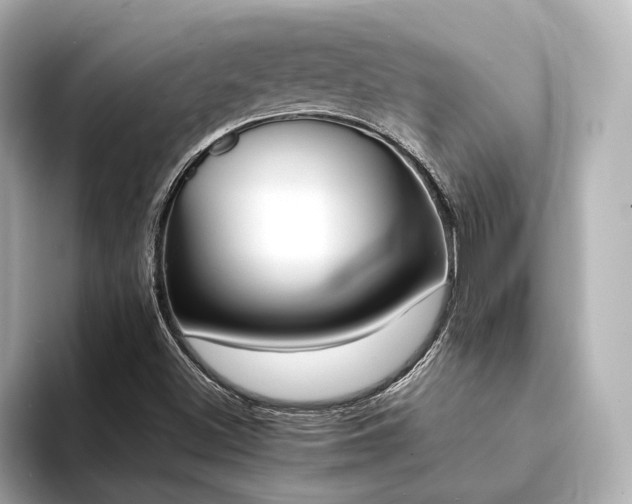 X0000094341500200711021441