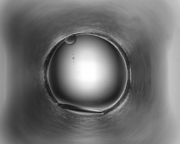 X0000094341501200711021441