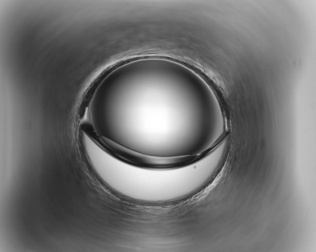 X0000094341502200711021441
