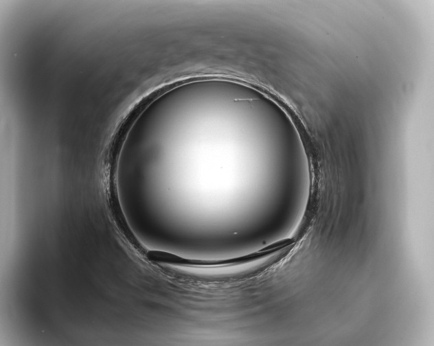 X0000094341503200711021441