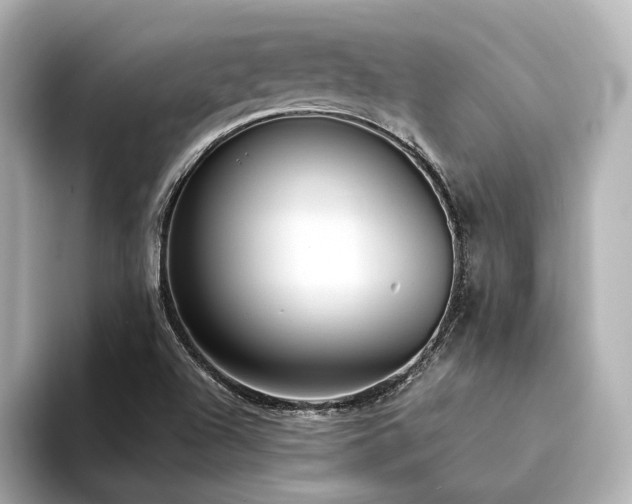 X0000094341504200711021441