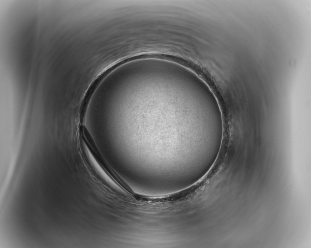 X0000094341505200711021441
