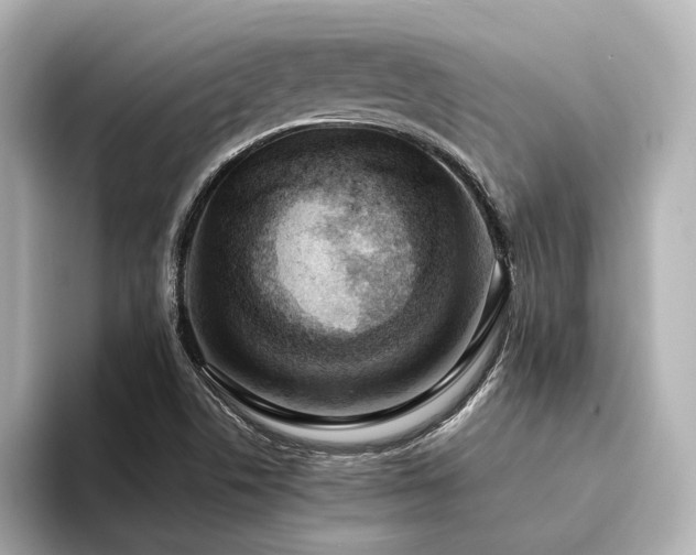 X0000094341506200711021441