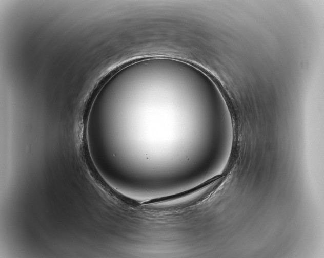X0000094341507200711021441