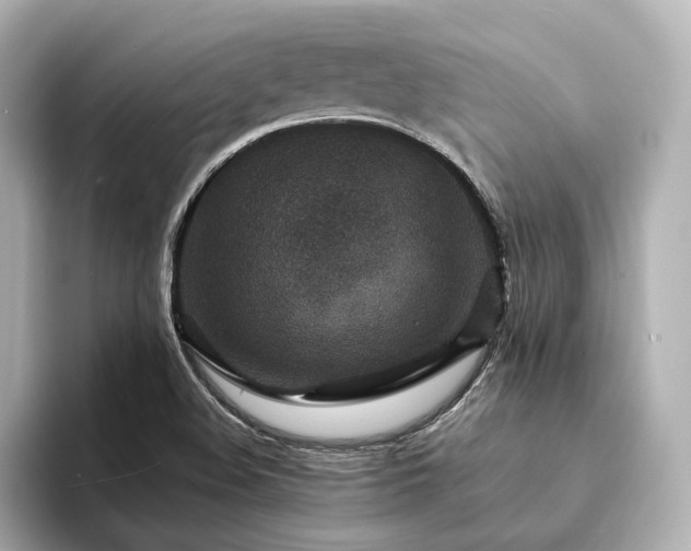 X0000094341508200711021441