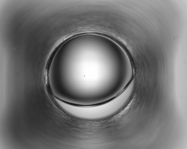 X0000094341509200711021441
