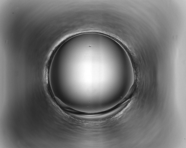 X0000094341510200711021441