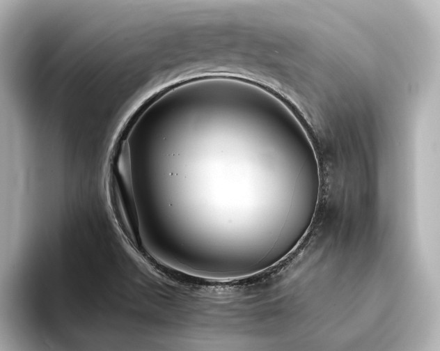 X0000094341511200711021441