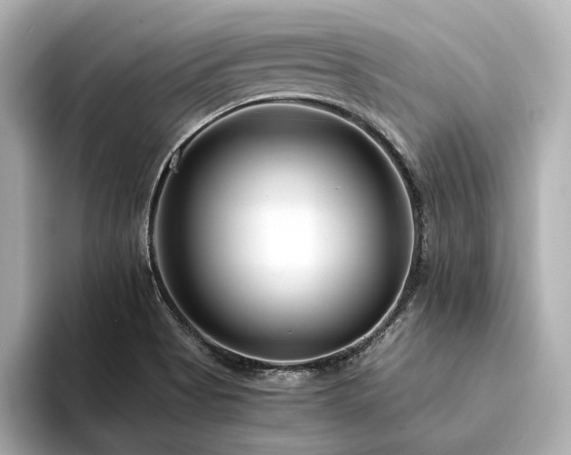 X0000094341513200711021441