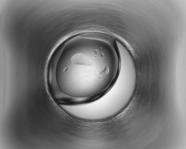 X0000094341514200711021441